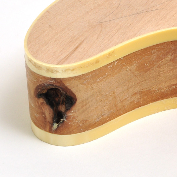 Rockinger Project Body for Tele, Binding, Alder