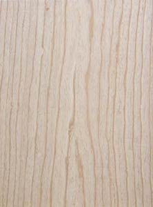 Body Blank, US Swamp Ash, 1-TEILIG